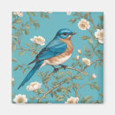 Search for bluebird magnets Animal