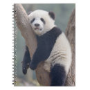 Search for panda bear notebooks Cute
