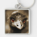 Search for ostrich key rings Animals