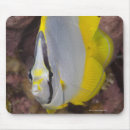 Search for underwater life mouse mats Yellow
