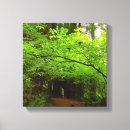 Search for maple canvas prints Nature