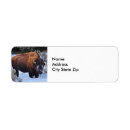 Search for american buffalo return address labels Wildlife