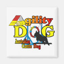 Search for dog obedience magnets Agility