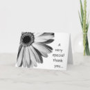 Search for white daisies cards Black