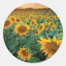 Search for crop stickers Landscape