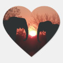 Search for elephant silhouette stickers Sunset