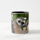 Search for lemurs mugs Primate