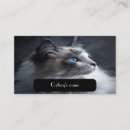 Search for contact phone number business cards Professional