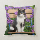 Search for cat sitting cushions Cute