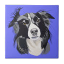 Search for sheepdog tiles Border collie