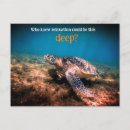Search for turtle postcards Underwater
