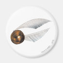 Search for quidditch magnets Kids