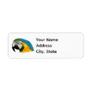 Search for macaw return address labels Blue and gold macaw