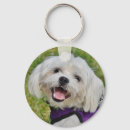 Search for fluffy white key rings Animal