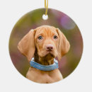 Search for hungarian christmas tree decorations Puppy