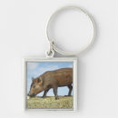 Search for piglets key rings Animals