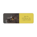 Search for cat postage Feline