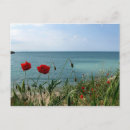 Search for cost postcards Black