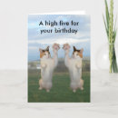 Search for calico kitten cards Feline
