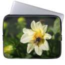 Search for template laptop cases Photography