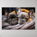 Search for cuddle art Pet