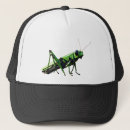 Search for grasshopper hats Bug