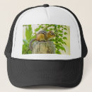 Search for post hats Funny