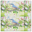 Search for spring fling Nature