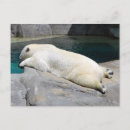 Search for sunbath postcards Nature