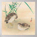 Search for quail Chicken