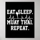 Search for kickboxing posters Ninja