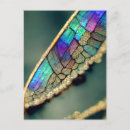 Search for macro vertical postcards Colourful