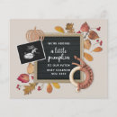 Search for fall pregnancy announcement cards Little pumpkin