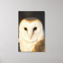 Search for alba art Animal