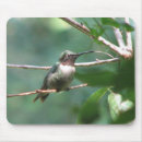 Search for hummer mouse mats Birds