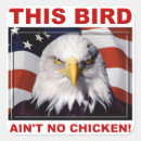 Search for american eagle stickers Usa