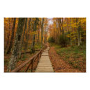 Search for autumn posters Path