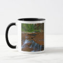 Search for sandstone mugs Zion national park