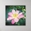 Search for vibrant canvas prints Flower