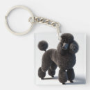 Search for black poodle key rings Dog