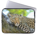 Search for whisker cases Wildlife