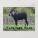 Search for forked postcards Nature