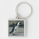 Search for african key rings South africa