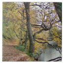 Search for autumn tiles Landscapes