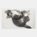 Search for grey mouse stickers Cat