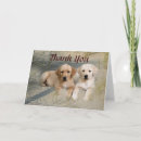 Search for labrador thank you cards Puppy
