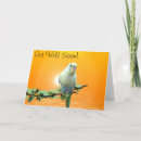 Search for wildlife get well cards Bird