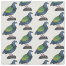 Search for pigeon fabric Bird