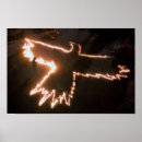 Search for fire bird Cartoon
