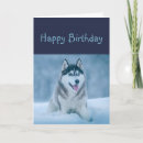 Search for funny husky cards Winter